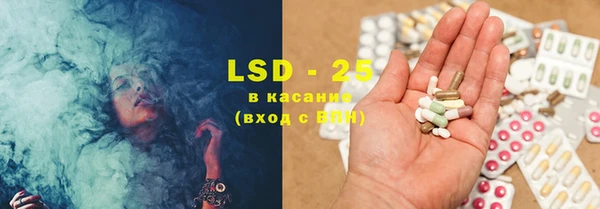 эйфоретик Алзамай