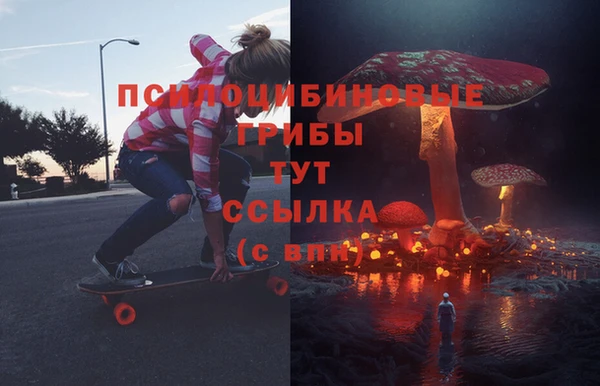 мет Алексин